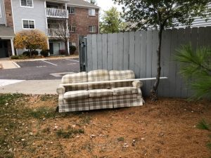 junk removal blu koi